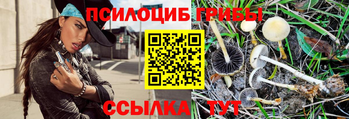 Галлюциногенные грибы Psilocybe  Вход с VPN  Берёзовский  Псилоцибиновые грибы прущие грибы 